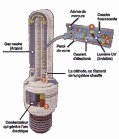 Fonctionement d'une ampoule fluorescente