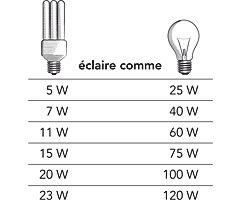 comparaison lampe fluo et lampe  incadescence