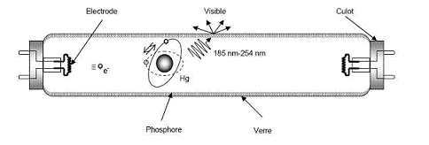 tube fluorescent