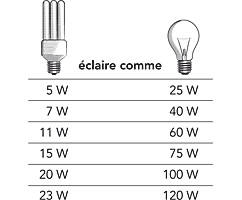 comparaison lampe fluo et lampe  incadescence